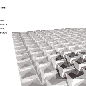 Origamic-fields-final-10