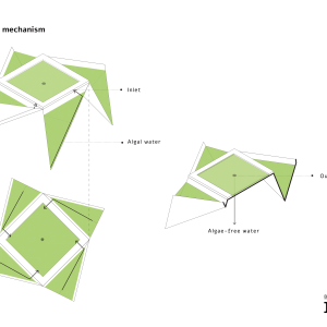 Origamic-fields-final-18