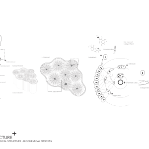 20151215_Studio_Presentation_Finals-08