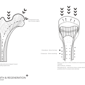 20151215_Studio_Presentation_Finals-09